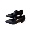 Sheepskin version~ French thick heel pointed single shoes women's shallow mouth versatile one-word buckle temperament retro Mary Jane high heels