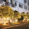 LED Outdoor Starry Decorative String Lights