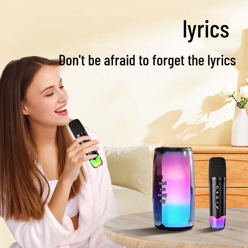 Newmine K191mini Wireless Karaoke Speaker with Dual Microphones CN plug (adapter included)