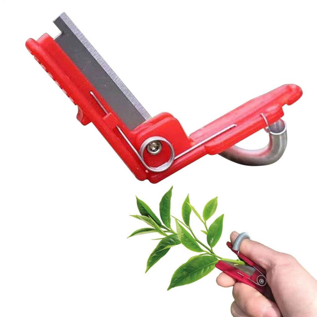 Vegetable Fruit Harvesting Picking Tool Vegetable Thump Knife Separator Garden Picking Guillotines Farm Orchard Gardening Tools