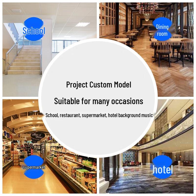 SHILE T-601 Fixed-Voltage Ceiling Speaker CN plug (adapter included)