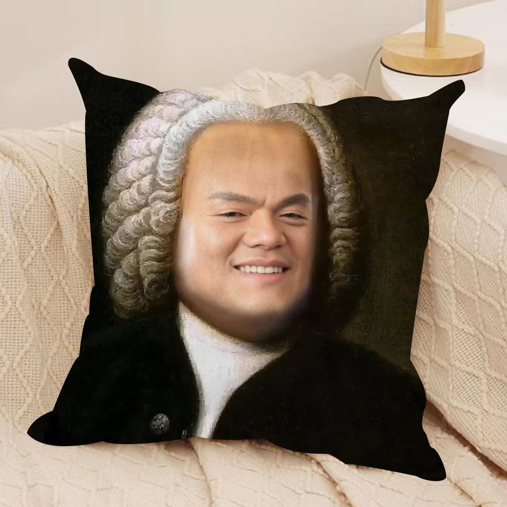 J-JYP Meme Cushion Cover Soft Plush Fabric Double-Sided Printed Sofa Cushion Cover for All Seasons Home Decor Gift