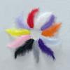 Aparatos de costura y tejido – Plumas