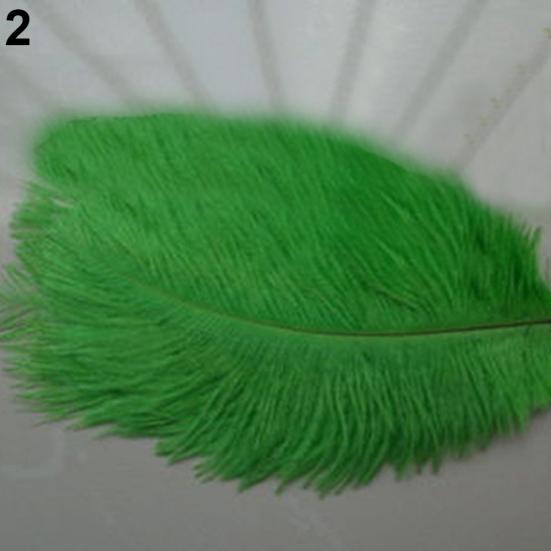 15 Pcs Natural Ostrich Feathers Colored Soft Feather for Clothes Wedding Decor