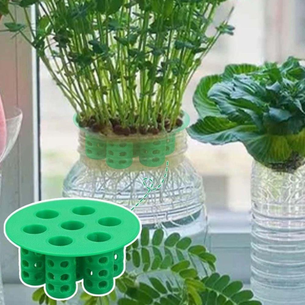 No Soil Seed Germination Tray Plant Growing Tool  for Flowering Plants Compact Green Tray