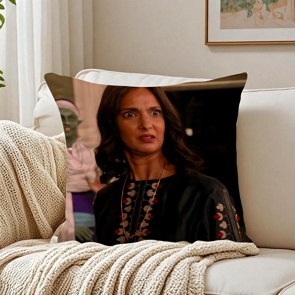 NNalini Vishwakumar TV Character Cushion Cover Pillowcase Antidustmite living Room Sofa Decor Cushion Room