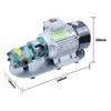 WCB-75 Self-Priming Gear Oil Pump Portable Cast Iron High Temperature Electric Gear Pump 750W Small High Viscosity Oil Pump 220V