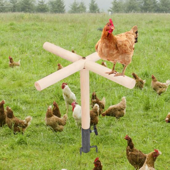 Hühnerstangen-Spielzeug, hölzerner Hühnerstangenständer mit Metall-Erdspieß für den Hühnerstall