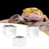 Reptile Terrarium, Clear Container, Reptile Tank for Scorpions, Horned Frogs,
