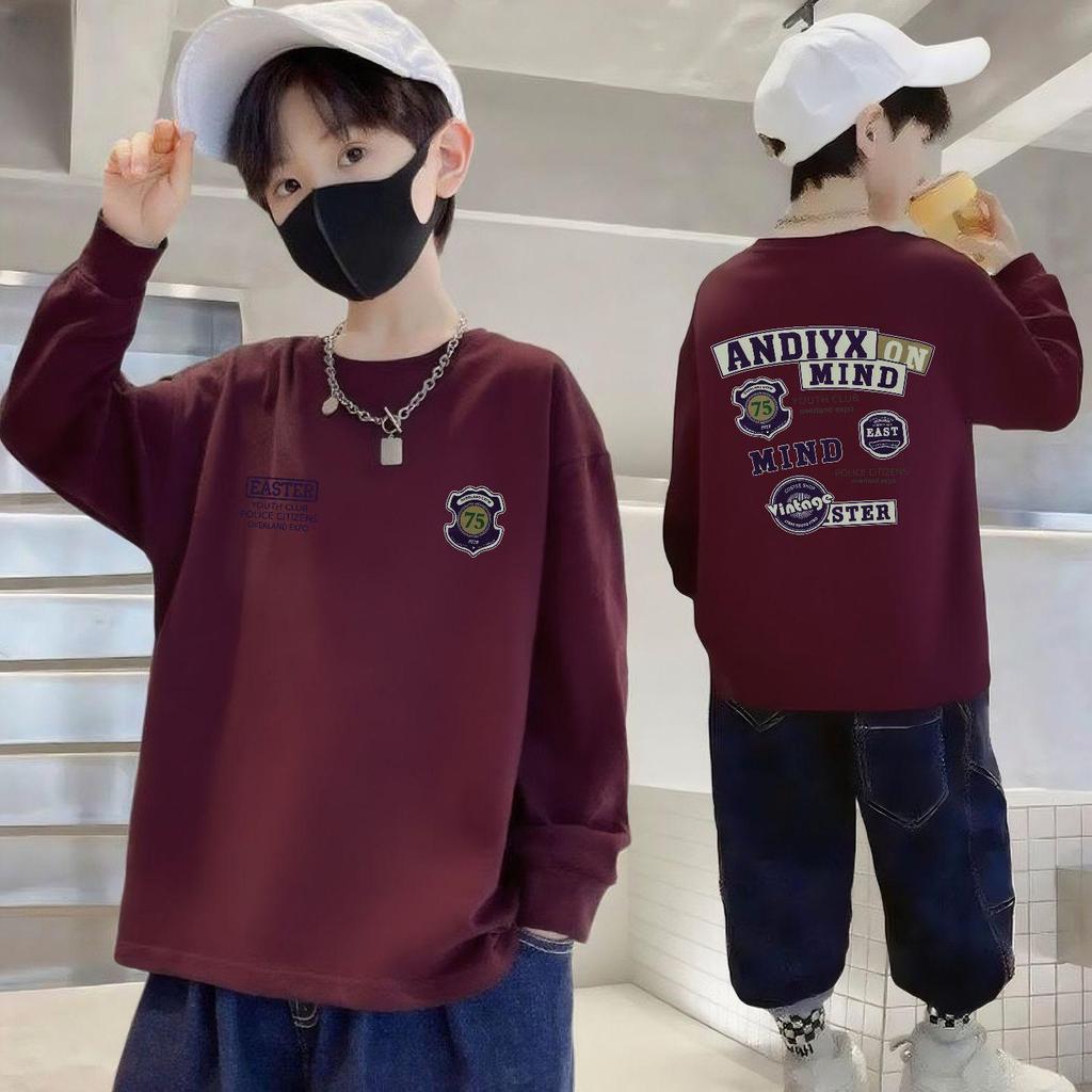 Boys' Pure Cotton Long-Sleeve T-Shirt - Casual Loose Fit, Round Neck, Spring/Autumn Style