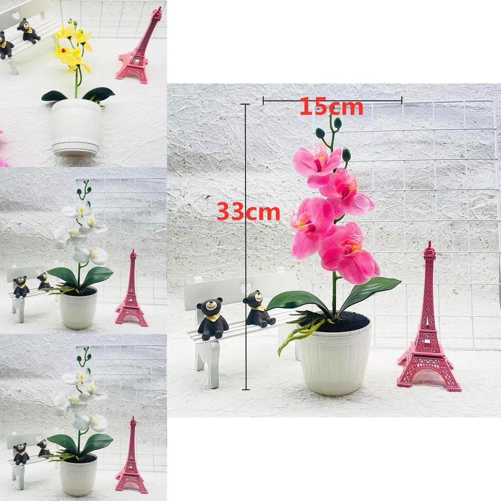 Phalaenopsis Artificial Potted Flower With Durable Material For Home Office And Gift Use
