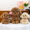 The New Cartoon Clock Puppy Plush Toy Simulates The Teddy Dog Dolls of Girls and Children To Comfort The Dolls