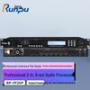 Runpu Professional Conference Room Audio Processor (CN Version)