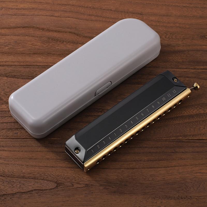 12 Holes Blues Harp Diatonic Harmonica 48 Tones Mouth Organ Harmonica For Adults