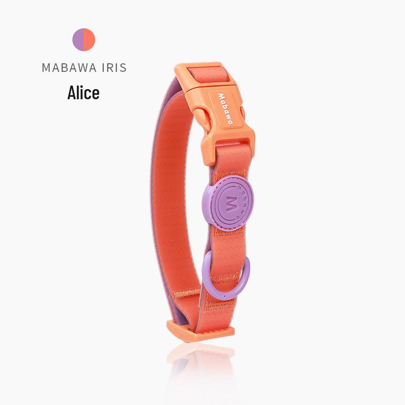 Waterproof Dog Collar with Leash for Small, Medium, and Large Dogs - Ideal for French Bulldogs