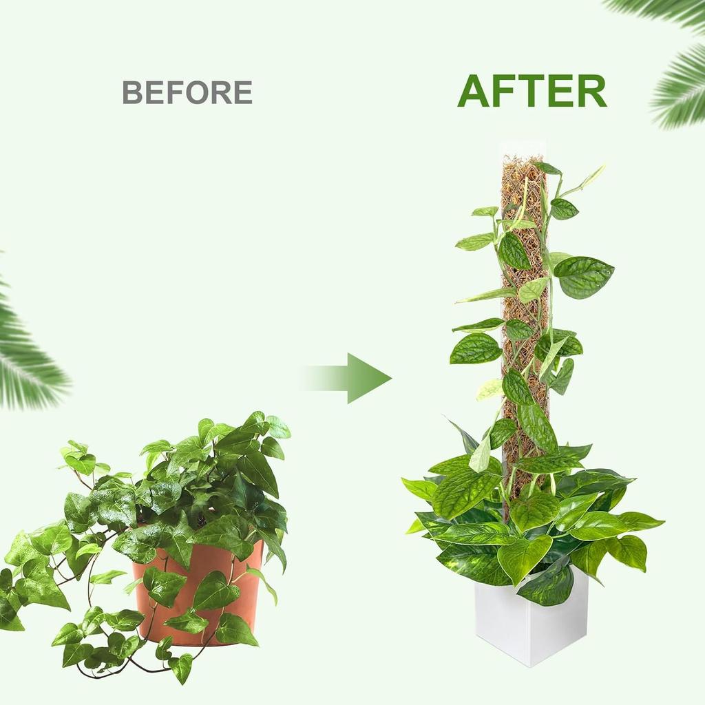 GROWNEER 4 Packs 24 Inch Plastic Moss Pole for Plants Monstera, Stackable Plant Support for Indoor Climbing Plants, Clear Plant Poles with 10FT