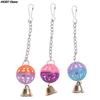 Plastic Ball Bell Bird Toys ColorfulPet Parrot Swing Toys African Grey Budgie Parakeet Cockatiel Lovebird Cage Parrot Toy Random