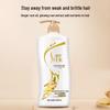 Selsun Ginger Anti-Dandruff & Oil Control Shampoo