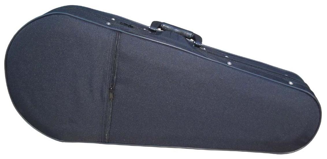 

ААА. Ультралегкий кейс для мандолины F-модели C-3800R