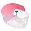 Small Reptile Terrarium Clear Plastic Gecko Habitat Equipped with Basking Island Realistic Coconut Trees for Tadpoles