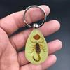 Keychain Pendant Decorative Exquisite Glow In The Dark Crabs Ants Spider Scorpion Key Ring Pendant for Men