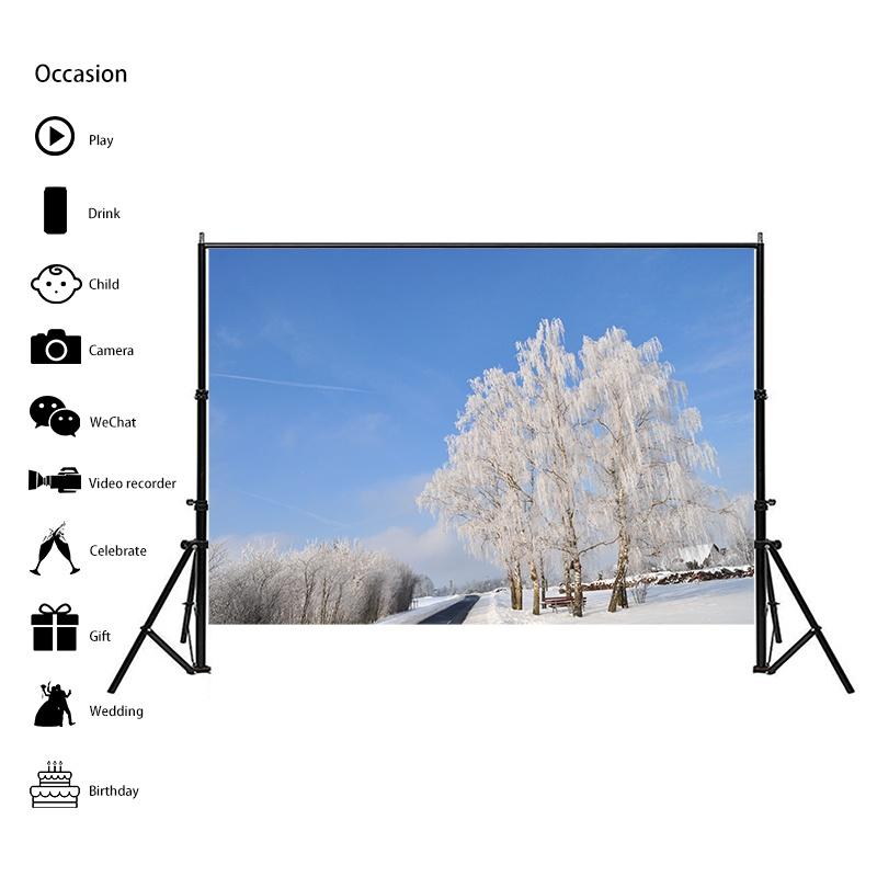 Winter Theme Snow Scene Background Nature Landscape Sky Snowflake Christmas Portrait Prop Party Decoration Banner