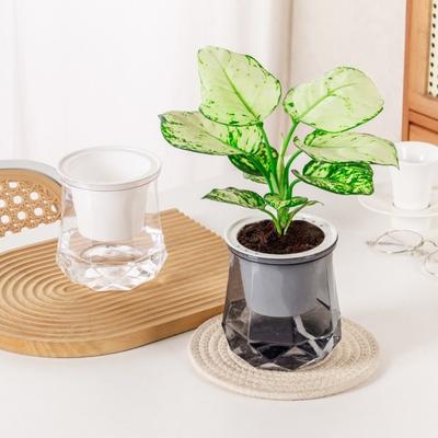 Removable Flowerpot Self Watering Office Bonsai Decor Fashion Hydroponic Plants Pot