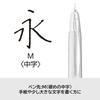 PILOT Capless Fountain Medium Nib Stripe 18K Gold Pen, (M), Pattern, Black, FC3MSSM, Nib.