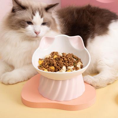 Kedi – Kedi Besleme ve Sulama Malzemeleri