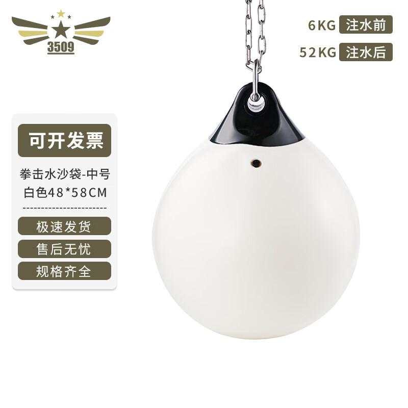Water-Filled Punching Bag