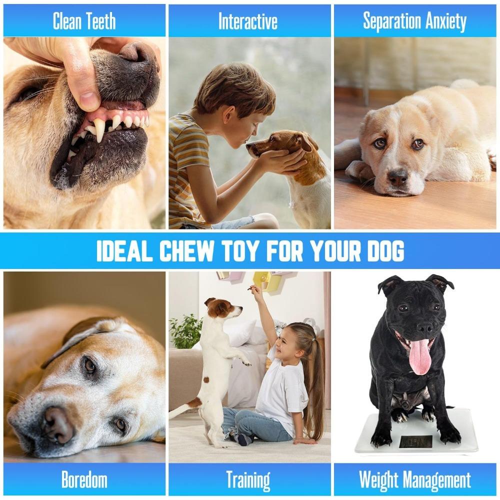 Colorful Spiky Puppy Chew Ring – Durable Rubber Teething Toy for Small Dogs, Fun Interactive Chewing & Play for Puppies