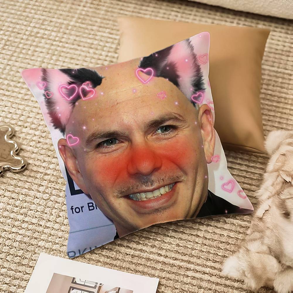 Mr Worldwide P-Pitbull Pillow Case Anti-dustmite Invisible zipper Sofa Bed