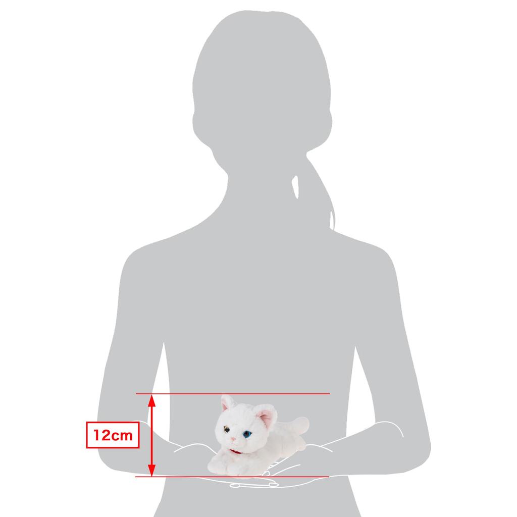 Sun Lemon Lap Cat Odd Eyes Plush Animal WH SS 11 X 29 X 12cm Cute Cat P-8042