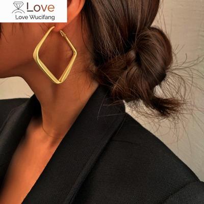 Geometrische Metall Ohrringe Für Frauen Schmuck Geschenk Unregelmäßigen Kreis Quadrat Ohrringe Femme Kalte Mode Koreanische Frauen Ohrringe