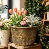 Plastic Bonsai Planter for Lotus Water Lily Planter, Vintage Round Plant Pot, Without Drainage Hole, Style Balcony Basin Extra Large Flower Pot Lotus,