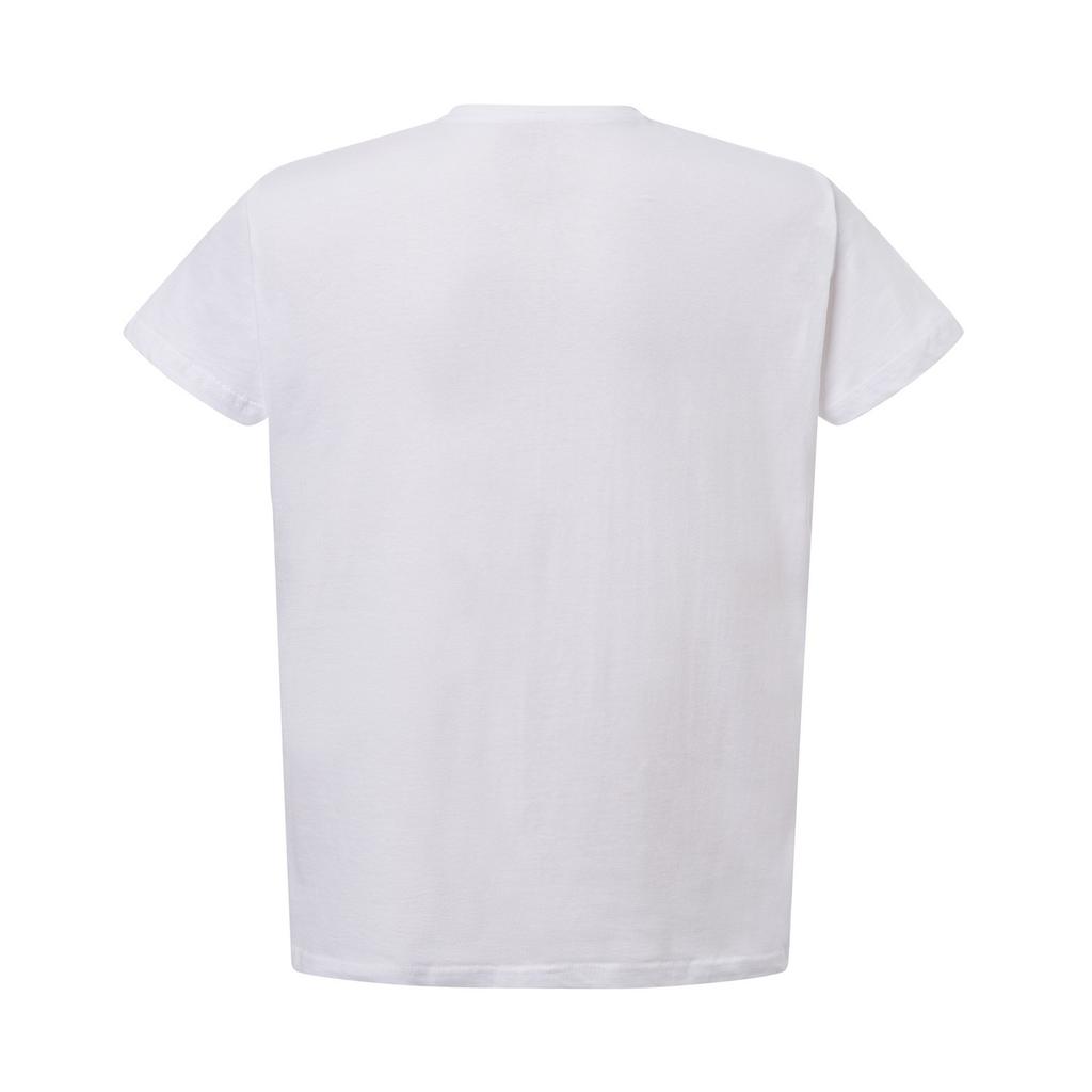 JHK Womens/Ladies Curves V Neck T-Shirt