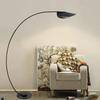 Nordic designer LED floor lamp creative black parabolic fishing light living room study home decoration bedroom reading light