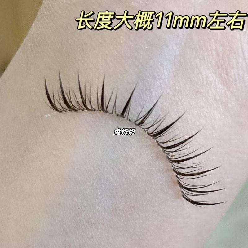 Mogugu - Fairy Multipack False Eyelashes