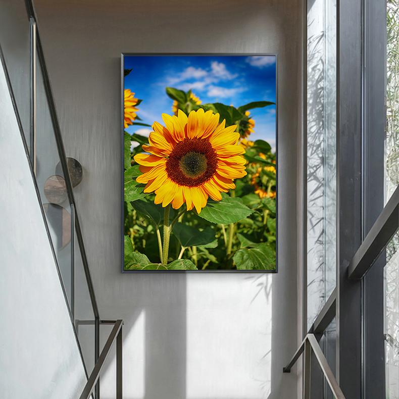 

Цветочное поле подсолнухи холст картина плакат с растениями скандинавские настенные художественные пейзажные картины принты для украшения дома без рамки