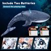 Upgraded Pool Toy Remote Control Whale Shark Outdoor Radio Control Boat Water Toy for Boys & Girls Ages 8-12, Ages 6+ (2 Pieces)