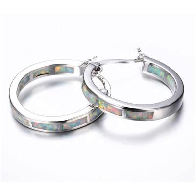 Blue Opal Round Earrings: European & American Fashion for Men and Women