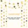 Spakon 65 Feet Glitter Star Paper Garland Banner Hanging Decoration Star Streamers Double Side 2025 Graduation Decorations for Wedding Birthday