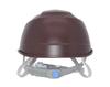 Tanizawa Seisakusho Helmet with Airlight S visor Transparent body Dark brown Transparent chin strap specification Tanizawa x GranGear collaboration
