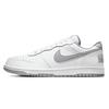 Nike Big DEER Nautical Era Leather Abrasion Resistant Slip Resistant Low top Skateboard Shoes Men's White Gray 355152-106(Team84-)