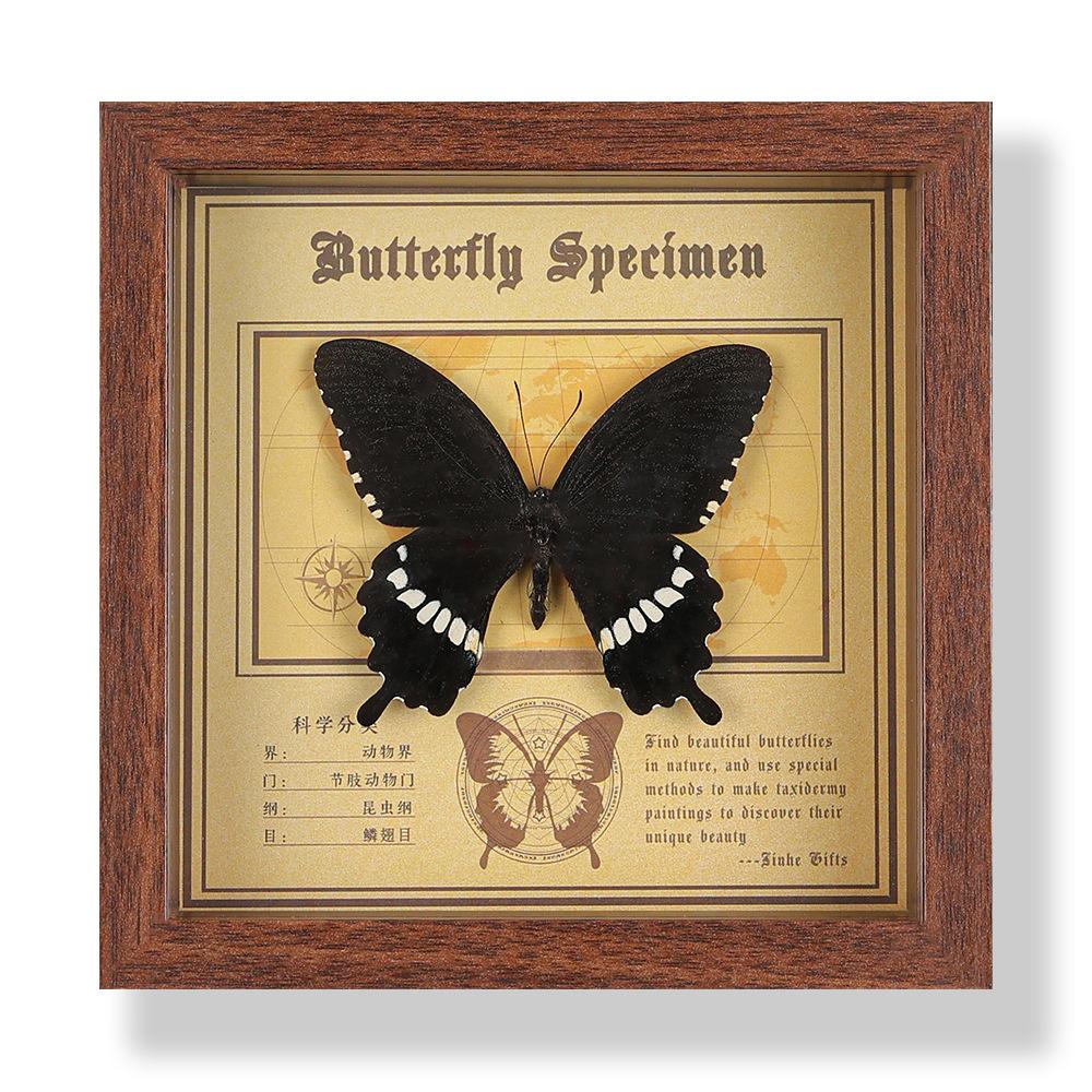 Real butterfly specimen photo frame, decorative painting, 3D ornament, handmade DIY, birthday gift, insect specimen