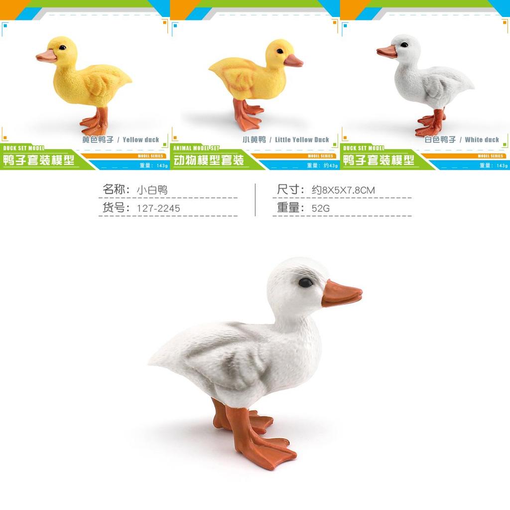 Childrens Pvc Bird Figurines Set For Farm Scene Decor And Learning Activities