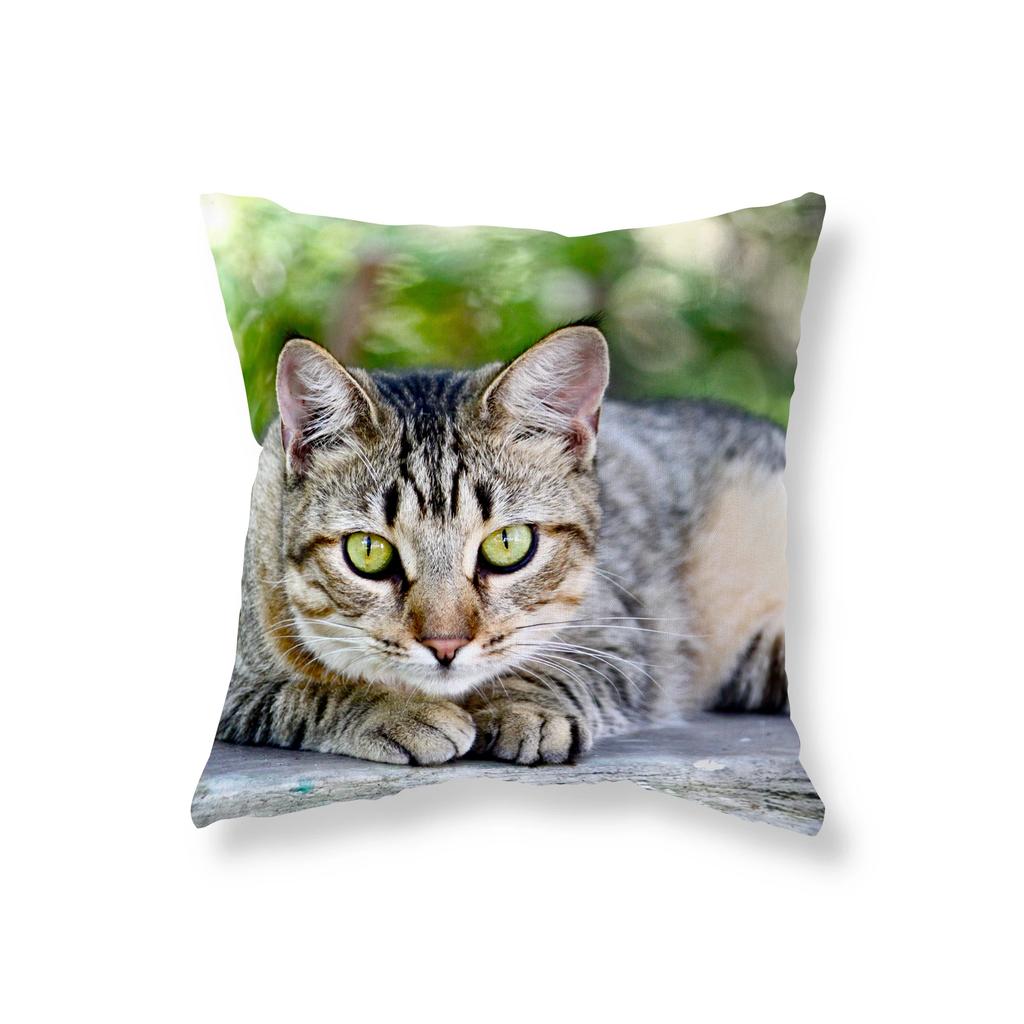 Cute Funny Black Cat Pillowcase   Sofa Car Decoration Office Game Chair Cushion Cover Room Home