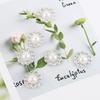 50pcs/lot Resin Pearl Buttons 12/14mm Flower Shaped Buttons New Flat Round Buttons