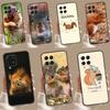 Squirrel Cute Animals For Samsung Galaxy M20 M30s M31 M51 M15 M55 M13 M23 M33 M53 M12 M32 M52 M14 M34 M54 Case