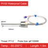 Stainless Steel Threaded Pt100 Temperature Sensor Probe Waterproof High‑Temp RTD (-50°C- 420°C) Industrial Armor Cable 3‑Wire